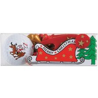 Sportiques Reitender Santa Ball + Tees Sonstige